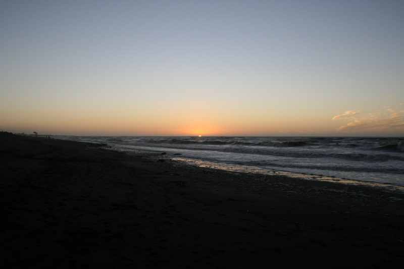 Nieuw-Zeeland 2011 - 1383